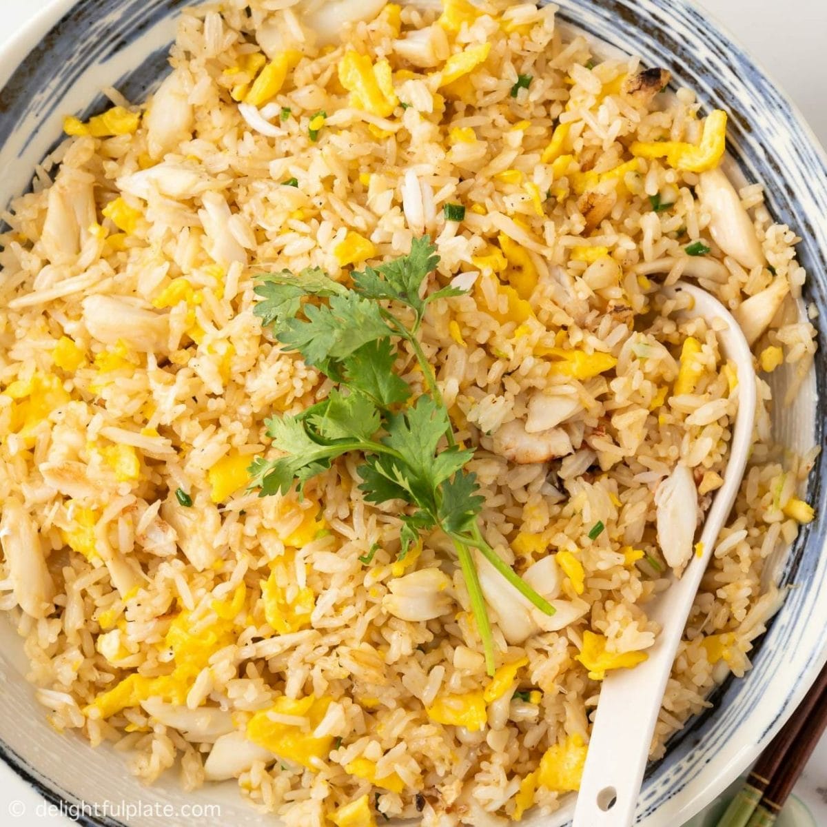 Crab Fried Rice - Delightful Plate